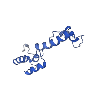 10978_6ywx_MM_v1-0
The structure of the mitoribosome from Neurospora crassa with tRNA bound to the E-site
