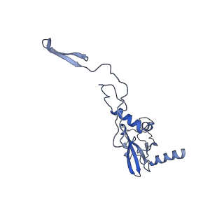 10978_6ywx_M_v1-0
The structure of the mitoribosome from Neurospora crassa with tRNA bound to the E-site
