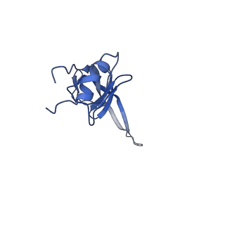 10978_6ywx_N_v1-0
The structure of the mitoribosome from Neurospora crassa with tRNA bound to the E-site