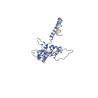 10978_6ywx_OO_v1-0
The structure of the mitoribosome from Neurospora crassa with tRNA bound to the E-site