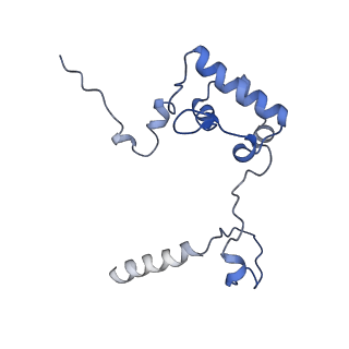 10978_6ywx_RR_v1-0
The structure of the mitoribosome from Neurospora crassa with tRNA bound to the E-site