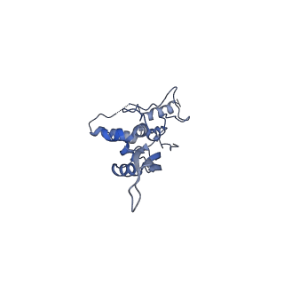 10978_6ywx_S_v1-0
The structure of the mitoribosome from Neurospora crassa with tRNA bound to the E-site
