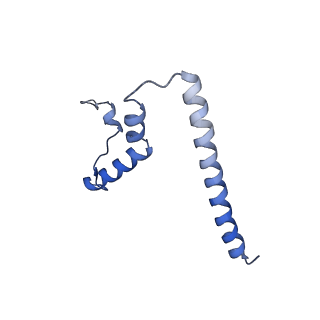 10978_6ywx_TT_v1-0
The structure of the mitoribosome from Neurospora crassa with tRNA bound to the E-site