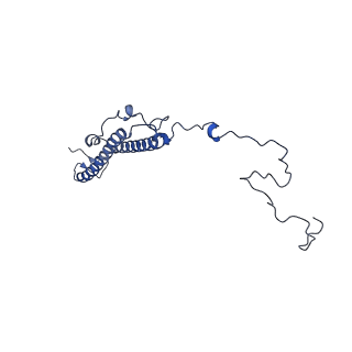 10978_6ywx_T_v1-0
The structure of the mitoribosome from Neurospora crassa with tRNA bound to the E-site