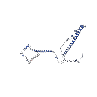 10978_6ywx_VV_v1-0
The structure of the mitoribosome from Neurospora crassa with tRNA bound to the E-site