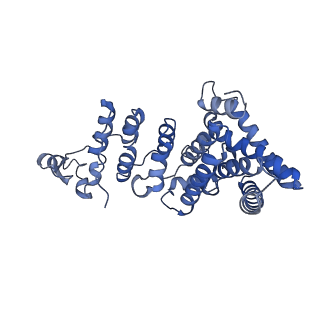 10978_6ywx_WW_v1-0
The structure of the mitoribosome from Neurospora crassa with tRNA bound to the E-site