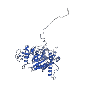10978_6ywx_XX_v1-0
The structure of the mitoribosome from Neurospora crassa with tRNA bound to the E-site