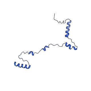10978_6ywx_YY_v1-0
The structure of the mitoribosome from Neurospora crassa with tRNA bound to the E-site