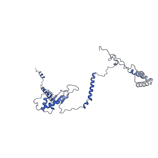 10978_6ywx_ZZ_v1-0
The structure of the mitoribosome from Neurospora crassa with tRNA bound to the E-site