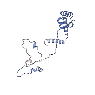 10978_6ywx_a_v1-0
The structure of the mitoribosome from Neurospora crassa with tRNA bound to the E-site