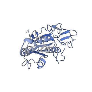 10978_6ywx_d_v1-0
The structure of the mitoribosome from Neurospora crassa with tRNA bound to the E-site