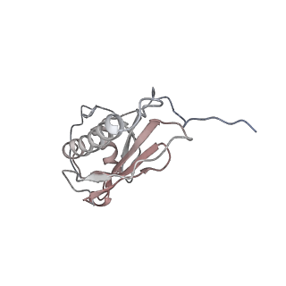 10978_6ywx_e_v1-0
The structure of the mitoribosome from Neurospora crassa with tRNA bound to the E-site