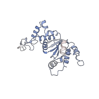 10978_6ywx_f_v1-0
The structure of the mitoribosome from Neurospora crassa with tRNA bound to the E-site