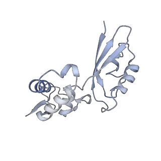 10978_6ywx_g_v1-0
The structure of the mitoribosome from Neurospora crassa with tRNA bound to the E-site