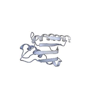 10978_6ywx_h_v1-0
The structure of the mitoribosome from Neurospora crassa with tRNA bound to the E-site