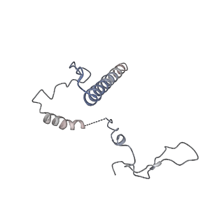 10978_6ywx_i_v1-0
The structure of the mitoribosome from Neurospora crassa with tRNA bound to the E-site