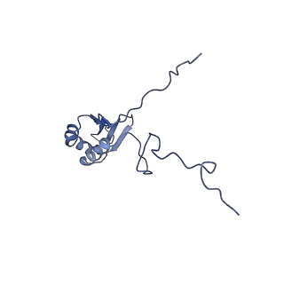 10985_6ywy_4_v1-0
The structure of the mitoribosome from Neurospora crassa with bound tRNA at the P-site