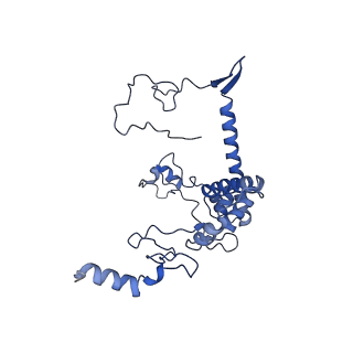 10985_6ywy_66_v1-0
The structure of the mitoribosome from Neurospora crassa with bound tRNA at the P-site