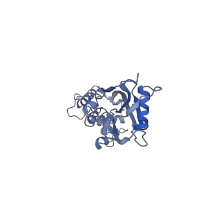 10985_6ywy_6_v1-0
The structure of the mitoribosome from Neurospora crassa with bound tRNA at the P-site
