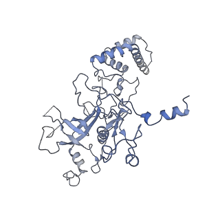 10985_6ywy_AA_v1-0
The structure of the mitoribosome from Neurospora crassa with bound tRNA at the P-site