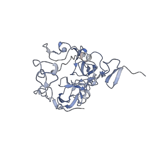 10985_6ywy_B_v1-0
The structure of the mitoribosome from Neurospora crassa with bound tRNA at the P-site