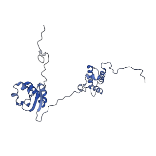 10985_6ywy_II_v1-0
The structure of the mitoribosome from Neurospora crassa with bound tRNA at the P-site