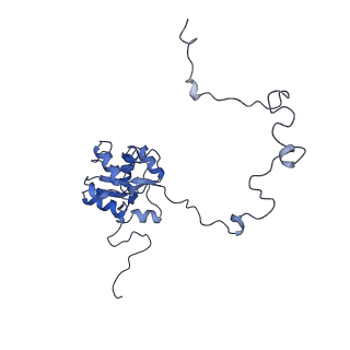 10985_6ywy_J_v1-0
The structure of the mitoribosome from Neurospora crassa with bound tRNA at the P-site