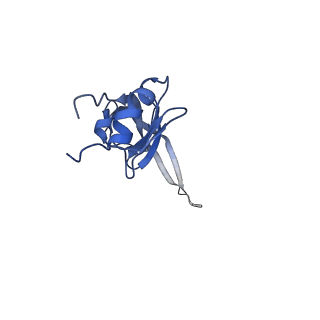 10985_6ywy_N_v1-0
The structure of the mitoribosome from Neurospora crassa with bound tRNA at the P-site