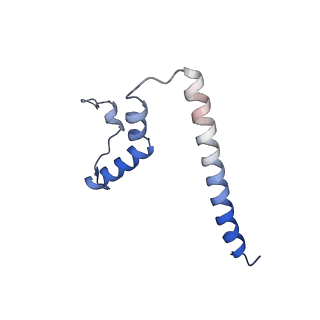 10985_6ywy_TT_v1-0
The structure of the mitoribosome from Neurospora crassa with bound tRNA at the P-site