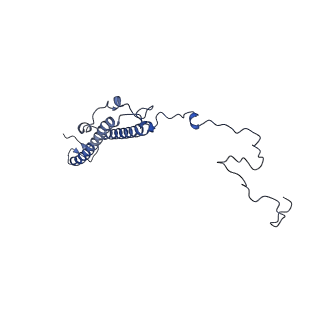 10985_6ywy_T_v1-0
The structure of the mitoribosome from Neurospora crassa with bound tRNA at the P-site