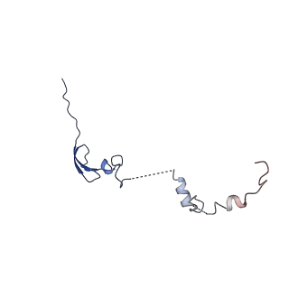 10985_6ywy_V_v1-0
The structure of the mitoribosome from Neurospora crassa with bound tRNA at the P-site