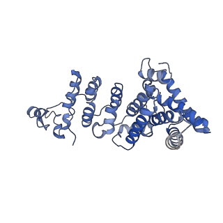 10985_6ywy_WW_v1-0
The structure of the mitoribosome from Neurospora crassa with bound tRNA at the P-site