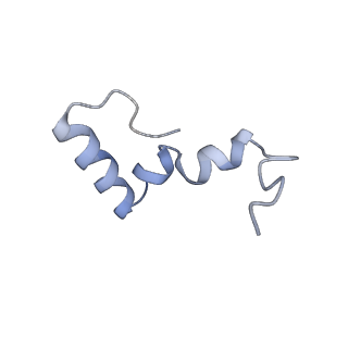 10985_6ywy_Y_v1-0
The structure of the mitoribosome from Neurospora crassa with bound tRNA at the P-site