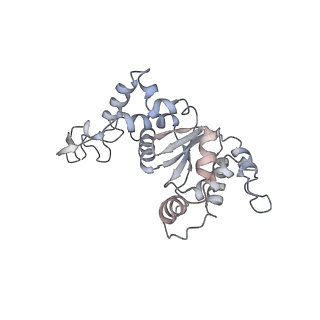 10985_6ywy_f_v1-0
The structure of the mitoribosome from Neurospora crassa with bound tRNA at the P-site