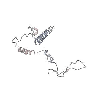 10985_6ywy_i_v1-0
The structure of the mitoribosome from Neurospora crassa with bound tRNA at the P-site