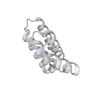 14352_7ywy_C_v1-0
Structure of the GroEL chaperonin in complex with the CnoX chaperedoxin