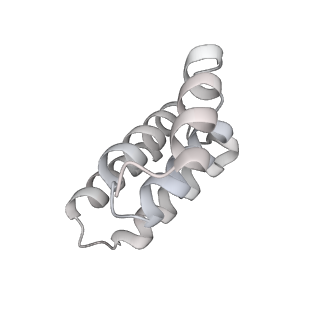 14352_7ywy_E_v1-0
Structure of the GroEL chaperonin in complex with the CnoX chaperedoxin