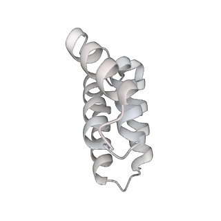 14352_7ywy_F_v1-0
Structure of the GroEL chaperonin in complex with the CnoX chaperedoxin