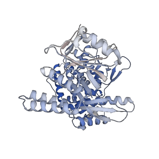 14352_7ywy_G_v1-0
Structure of the GroEL chaperonin in complex with the CnoX chaperedoxin