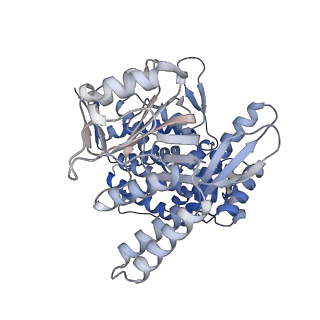 14352_7ywy_H_v1-0
Structure of the GroEL chaperonin in complex with the CnoX chaperedoxin