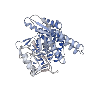 14352_7ywy_J_v1-0
Structure of the GroEL chaperonin in complex with the CnoX chaperedoxin