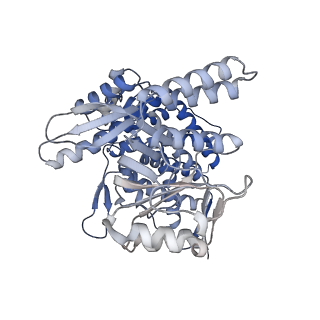 14352_7ywy_K_v1-0
Structure of the GroEL chaperonin in complex with the CnoX chaperedoxin