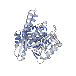 14352_7ywy_L_v1-0
Structure of the GroEL chaperonin in complex with the CnoX chaperedoxin