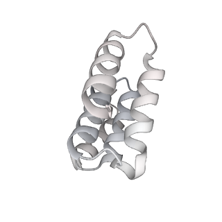 14352_7ywy_M_v1-0
Structure of the GroEL chaperonin in complex with the CnoX chaperedoxin