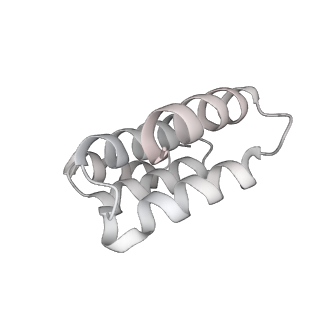 14352_7ywy_N_v1-0
Structure of the GroEL chaperonin in complex with the CnoX chaperedoxin