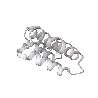 14352_7ywy_O_v1-0
Structure of the GroEL chaperonin in complex with the CnoX chaperedoxin