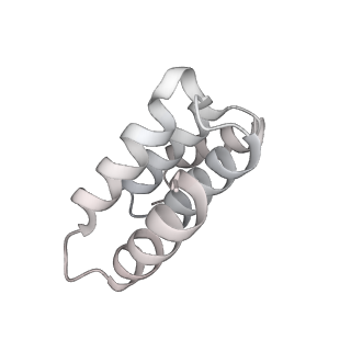 14352_7ywy_Q_v1-0
Structure of the GroEL chaperonin in complex with the CnoX chaperedoxin