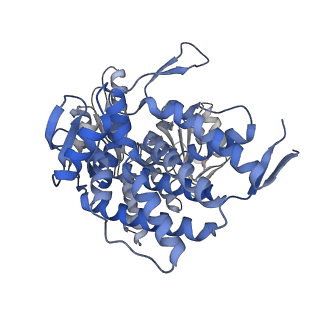 14352_7ywy_S_v1-0
Structure of the GroEL chaperonin in complex with the CnoX chaperedoxin