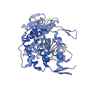 14352_7ywy_T_v1-0
Structure of the GroEL chaperonin in complex with the CnoX chaperedoxin
