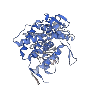 14352_7ywy_U_v1-0
Structure of the GroEL chaperonin in complex with the CnoX chaperedoxin